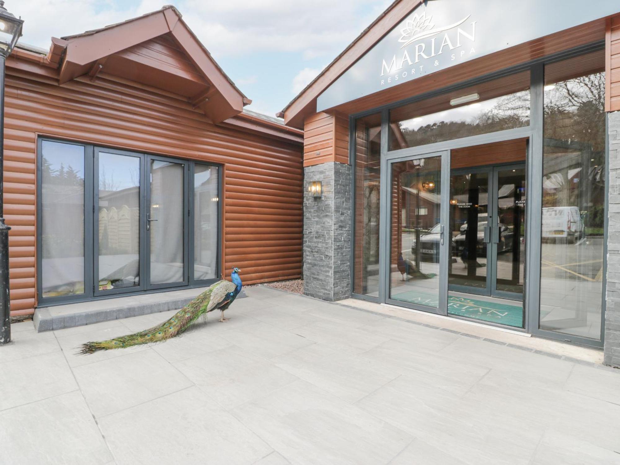 Luxury Lodge 62 Rhyl Exterior foto